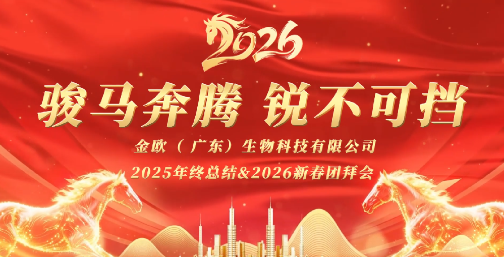 凝心聚力·共赴新程｜金欧公司年会圆满落幕
